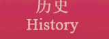 vʷ History